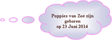 Wolkvormige toelichting: Puppies van Zo zijn geboren op 23 Juni 2014